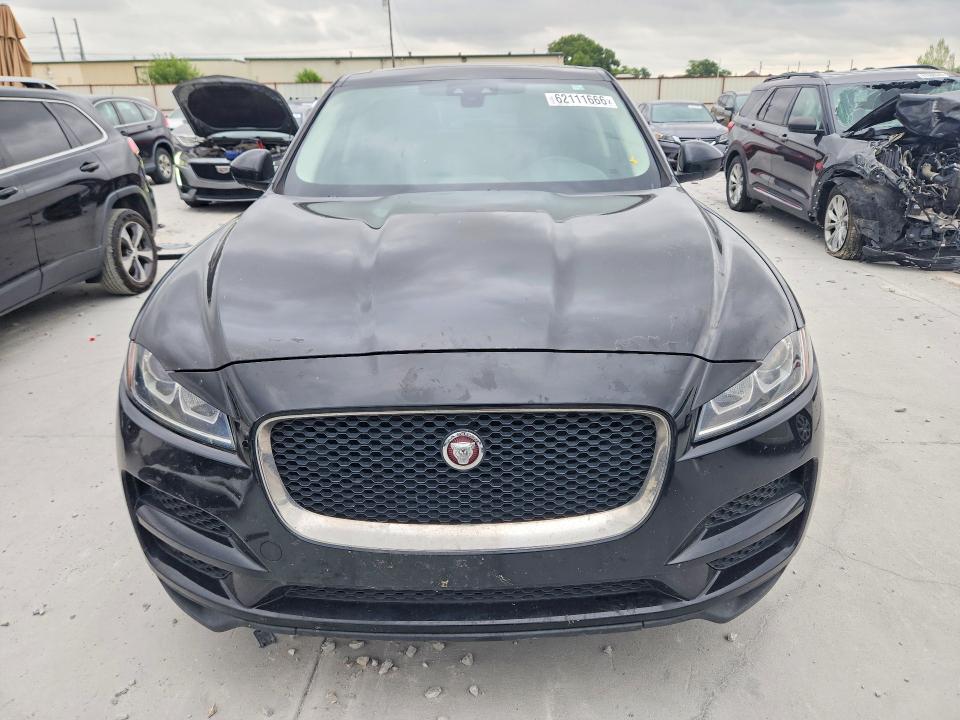 Продажа на аукционе авто 2019 Jaguar F-pace, vin: SADCJ2FX7KA399081, номер лота: 62111666