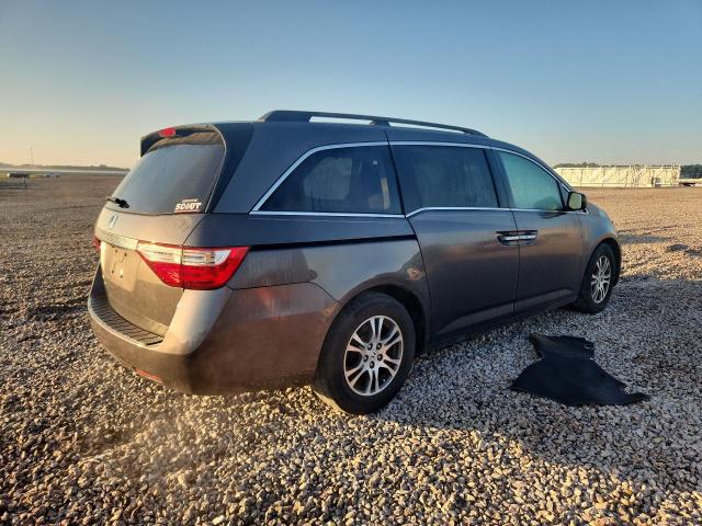 Продаж на аукціоні авто 2013 Honda Odyssey, vin: 5FNRL5H49DB019365, номер лоту: 60454696