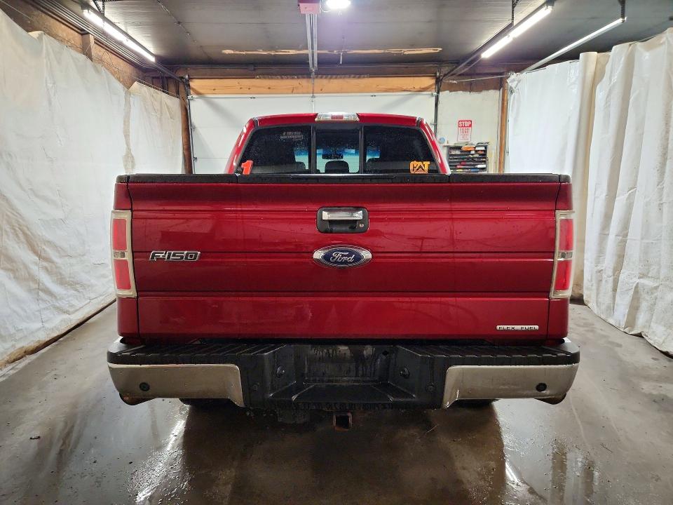 61503916 :رقم المزاد ، 1FTFW1EF0EFC64271 vin ، 2014 Ford F150 مزاد بيع