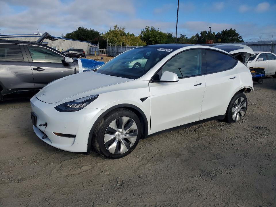 Продаж на аукціоні авто 2021 Tesla Model Y, vin: 5YJYGDEE4MF094594, номер лоту: 59903216