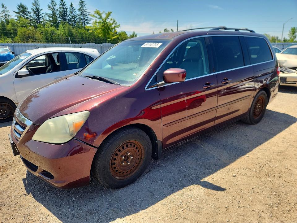 Auction sale of the 2007 Honda Odyssey, vin: 5FNRL38497B503139, lot number: 60449736