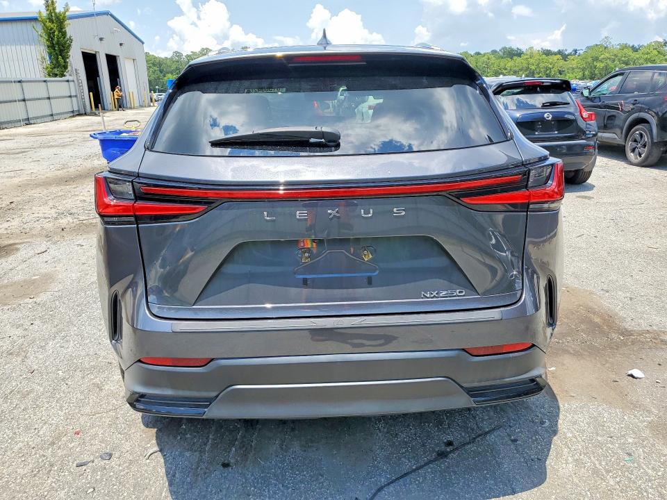 61360426 :رقم المزاد ، 2T2ADCAZ5RC006348 vin ، 2024 Lexus Nx 250 مزاد بيع