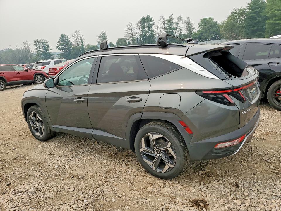 Продажа на аукционе авто 2022 Hyundai Tucson, vin: KM8JECA15NU016883, номер лота: 61395146