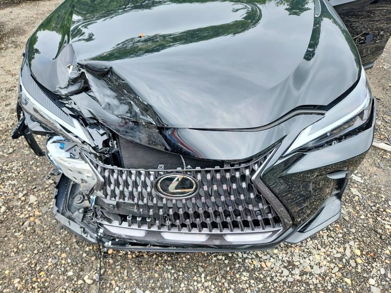 Продаж на аукціоні авто 2026 Lexus Nx, vin: 2T2GGCEZ3TC107570, номер лоту: 59253206