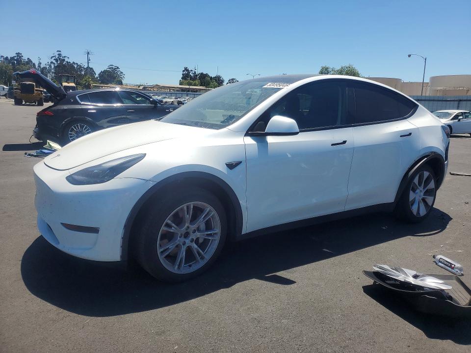 Aukcja sprzedaży 2024 Tesla Y, vin: 7SAYGDEE8RF006088, numer aukcji: 60495046