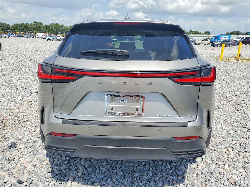 2025 Lexus Nx 250 მანქანა იყიდება აუქციონზე, vin: 2T2ADCAZ9SC030108, აუქციონის ნომერი: 62221876