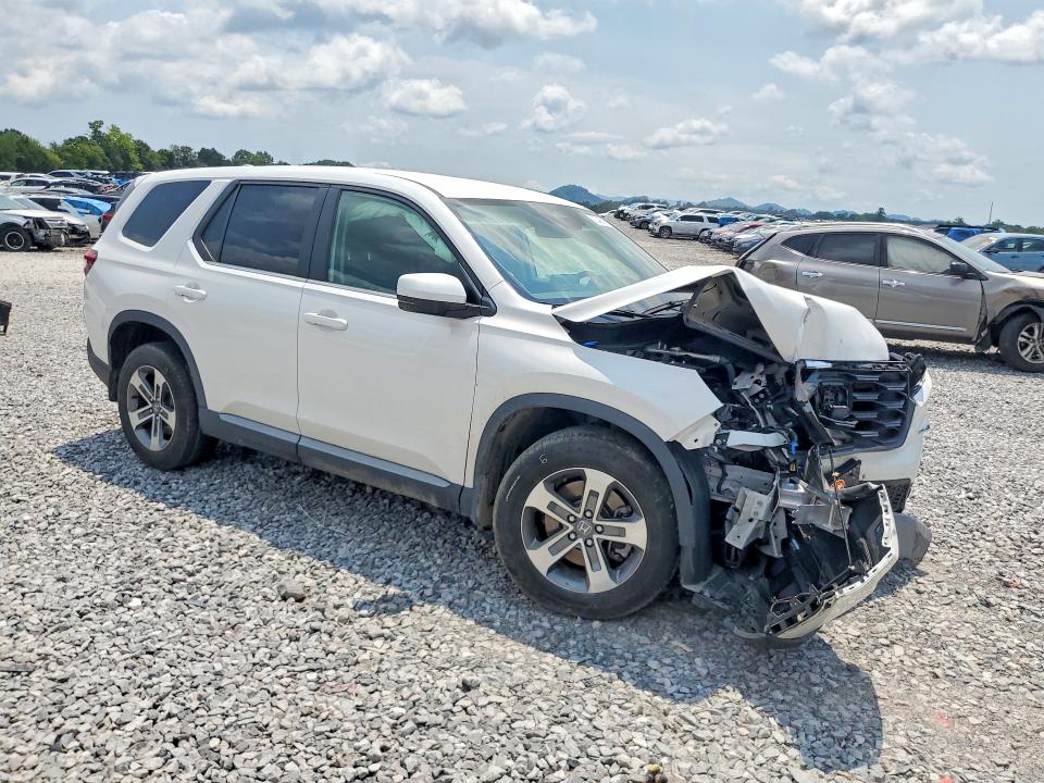 Продаж на аукціоні авто 2024 Honda Pilot, vin: 5FNYG1H48RB033449, номер лоту: 62488196