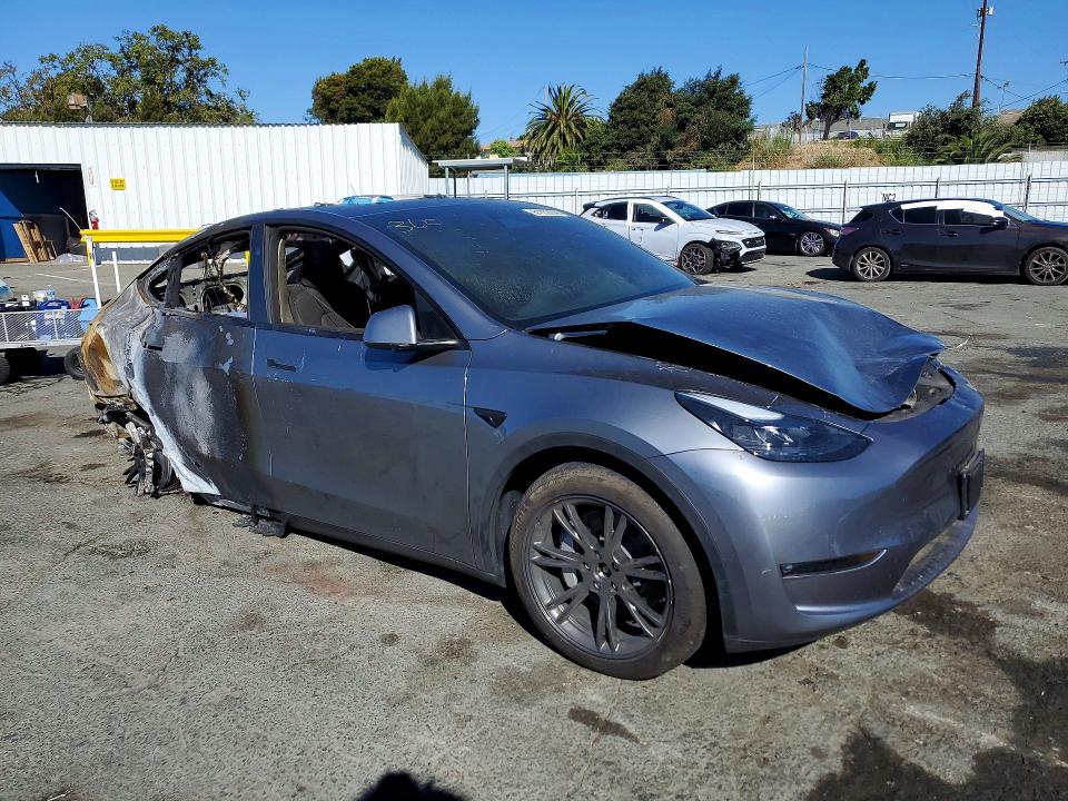Продажа на аукционе авто 2024 Tesla Model Y, vin: 7SAYGDEE4RF125868, номер лота: 61353846