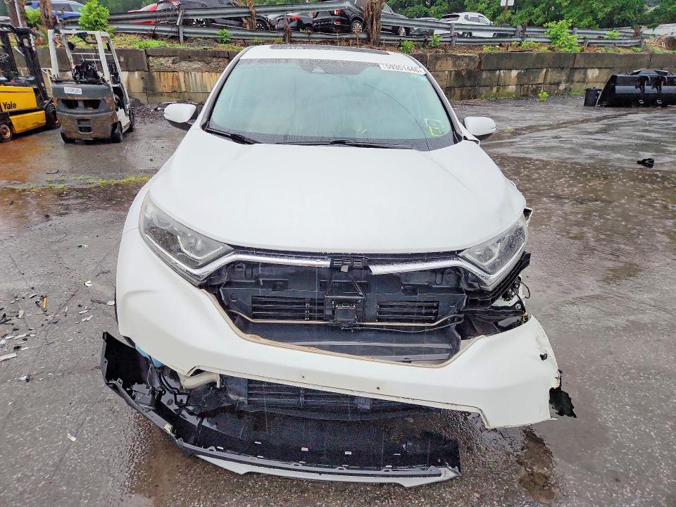 Продаж на аукціоні авто 2019 Honda Cr-v, vin: 2HKRW2H53KH624737, номер лоту: 59351446