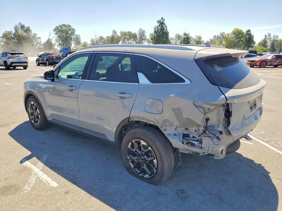 Продаж на аукціоні авто 2025 Kia Sorento, vin: 5XYRL4JC1SG351091, номер лоту: 62975026