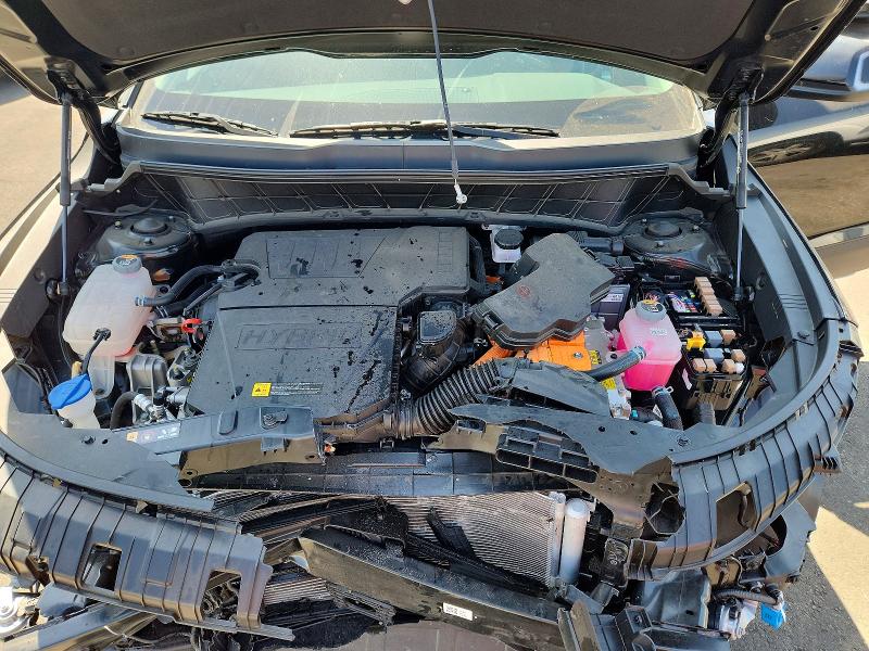 Продаж на аукціоні авто 2025 Kia Niro, vin: KNDCR3LE0S5238898, номер лоту: 62836036