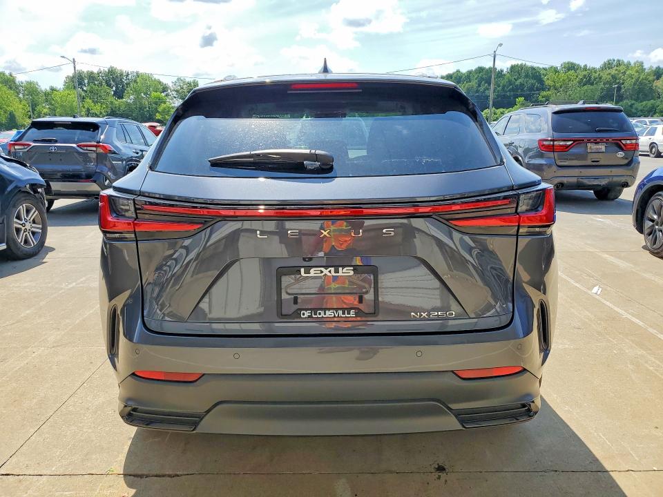 62200076 :رقم المزاد ، 2T2GDCAZ6RC013481 vin ، 2024 Lexus Nx مزاد بيع