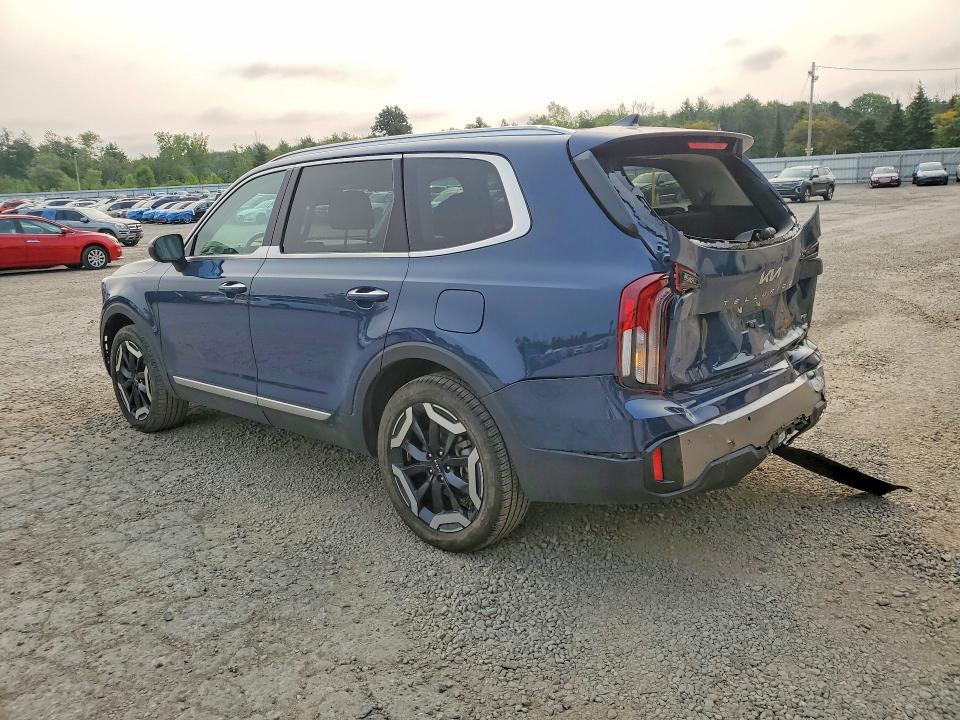 Продажа на аукционе авто 2025 Kia Telluride, vin: 5XYP6DGC0SG580190, номер лота: 62145746