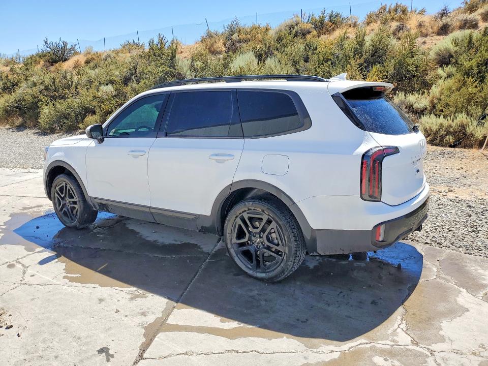 Продаж на аукціоні авто 2024 Kia Telluride, vin: 5XYP5DGCXRG550434, номер лоту: 62867366
