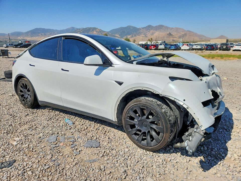 2021 Tesla Model Y მანქანა იყიდება აუქციონზე, vin: 5YJYGDEE7MF074176, აუქციონის ნომერი: 63508966