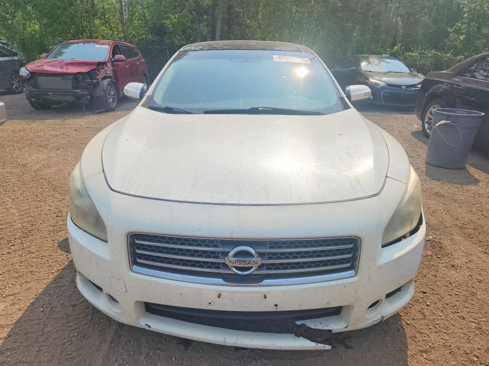 60590376 :رقم المزاد ، 1N4AA5AP4AC851069 vin ، 2010 Nissan Maxima مزاد بيع