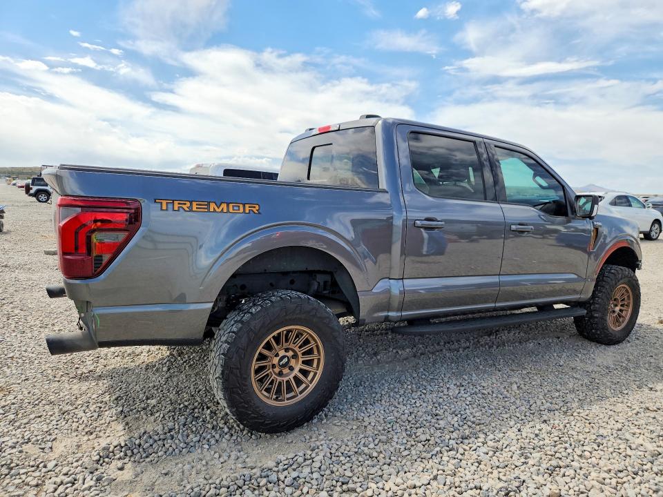 Продаж на аукціоні авто 2024 Ford F150, vin: 1FTFW4L89RFC16876, номер лоту: 79135785
