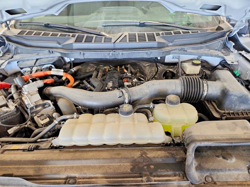 Продаж на аукціоні авто 2024 Ford F150, vin: 1FTFW3LD3RFA10265, номер лоту: 59405566