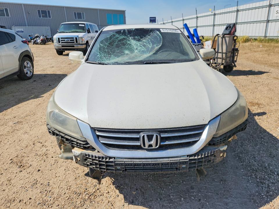 Продаж на аукціоні авто 2013 Honda Accord, vin: 1HGCR2F80DA802688, номер лоту: 61516296