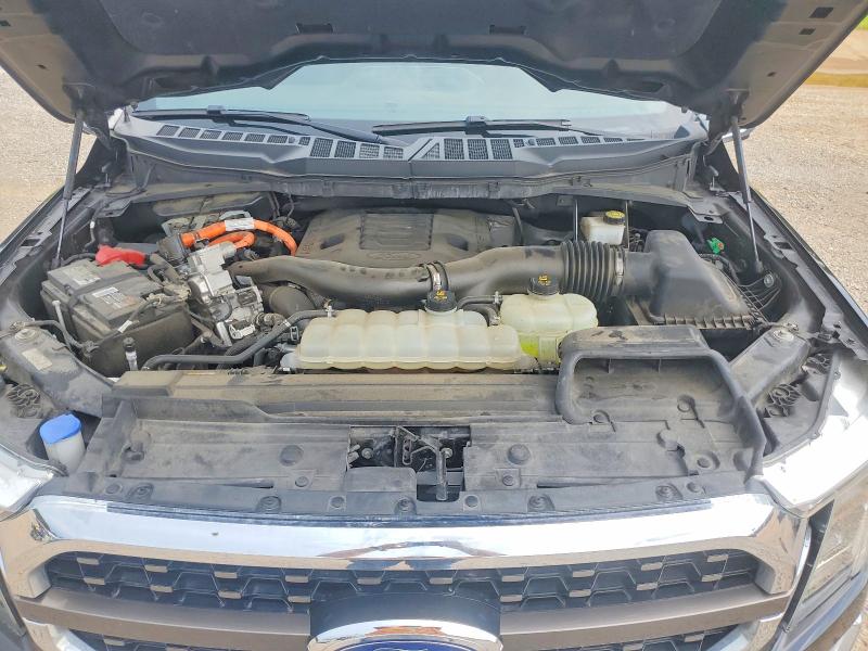 Продаж на аукціоні авто 2021 Ford F150, vin: 1FTFW1ED1MFB23500, номер лоту: 62783876