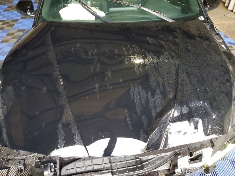 61673376 :رقم المزاد ، KMHLM4DG2TU186326 vin ، 2026 Hyundai Elantra مزاد بيع