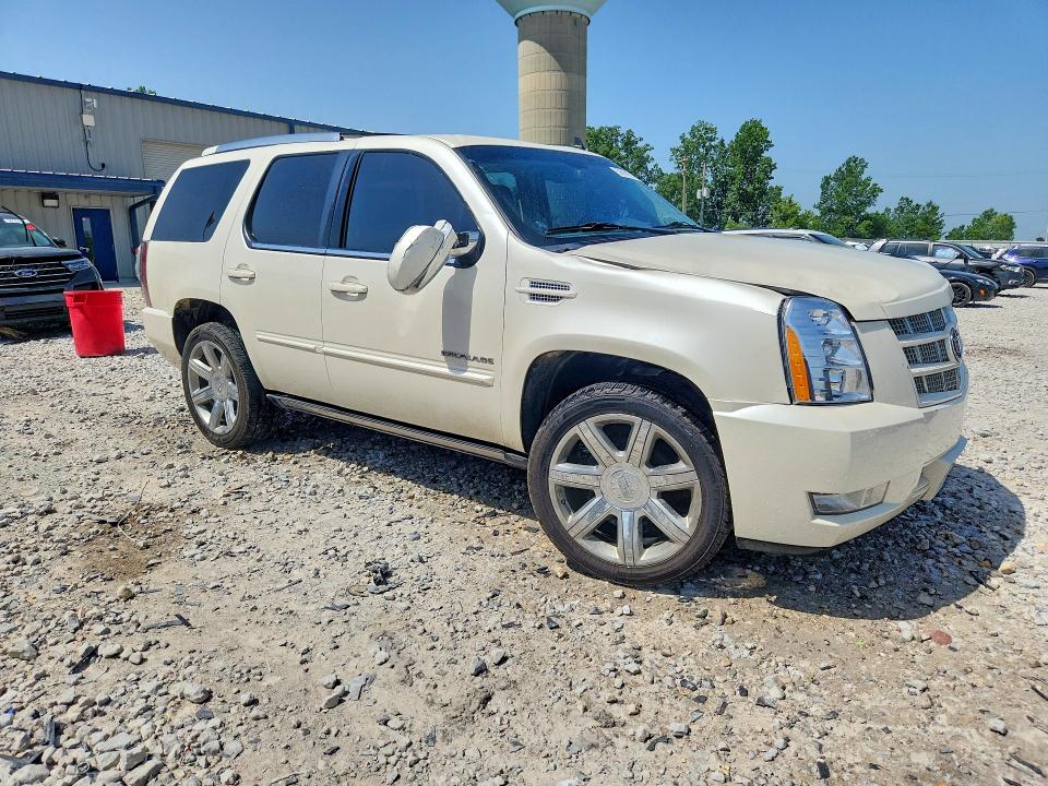 Продаж на аукціоні авто 2014 Cadillac Escalade, vin: 1GYS4CEF8ER207051, номер лоту: 58141316