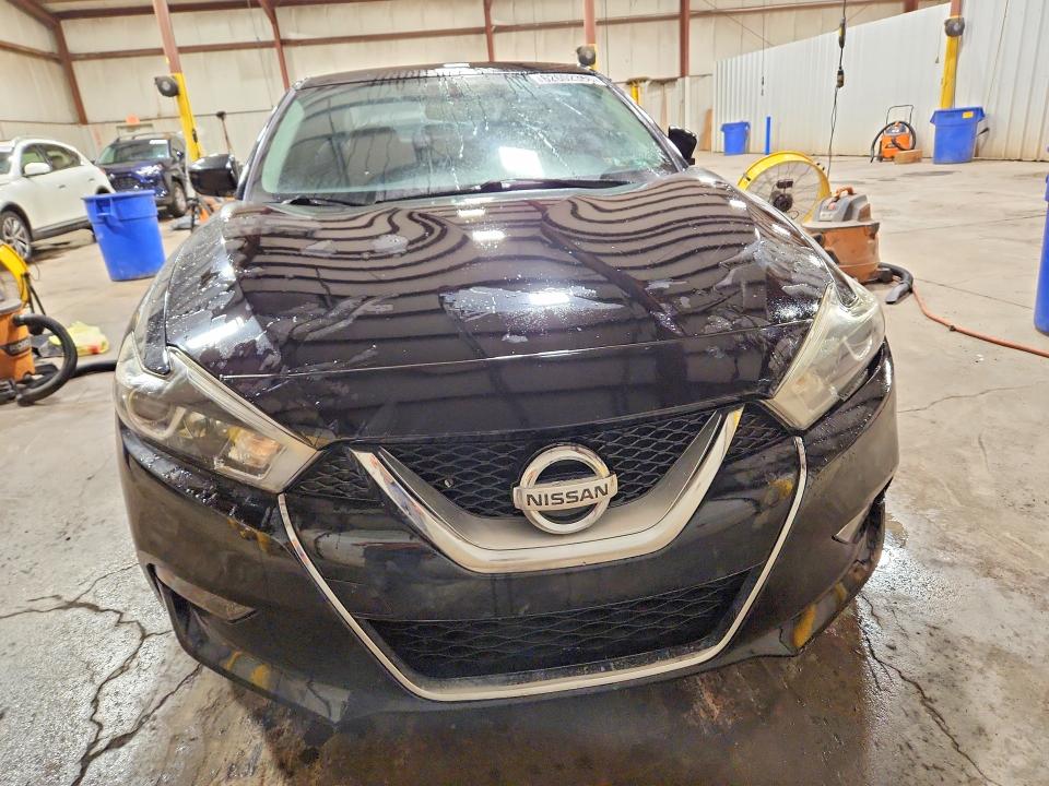 Продаж на аукціоні авто 2016 Nissan Maxima, vin: 1N4AA6AP1GC446821, номер лоту: 62602366