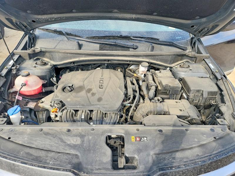 61489556 :رقم المزاد ، 5XYK2CDF0TG339682 vin ، 2026 Kia Sportage مزاد بيع