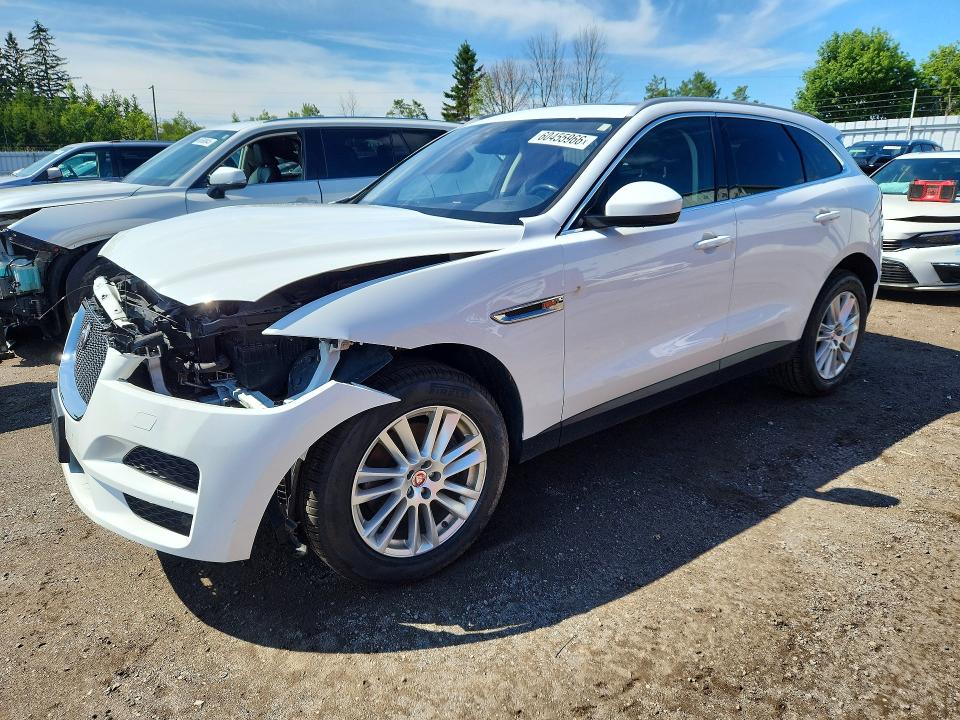 Продаж на аукціоні авто 2020 Jaguar F-pace, vin: SADCK2GX1LA631087, номер лоту: 60455966