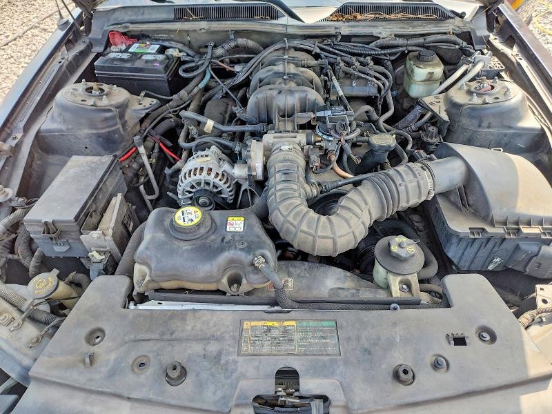 Продаж на аукціоні авто 2006 Ford Mustang, vin: 1ZVFT80N465140296, номер лоту: 62950956
