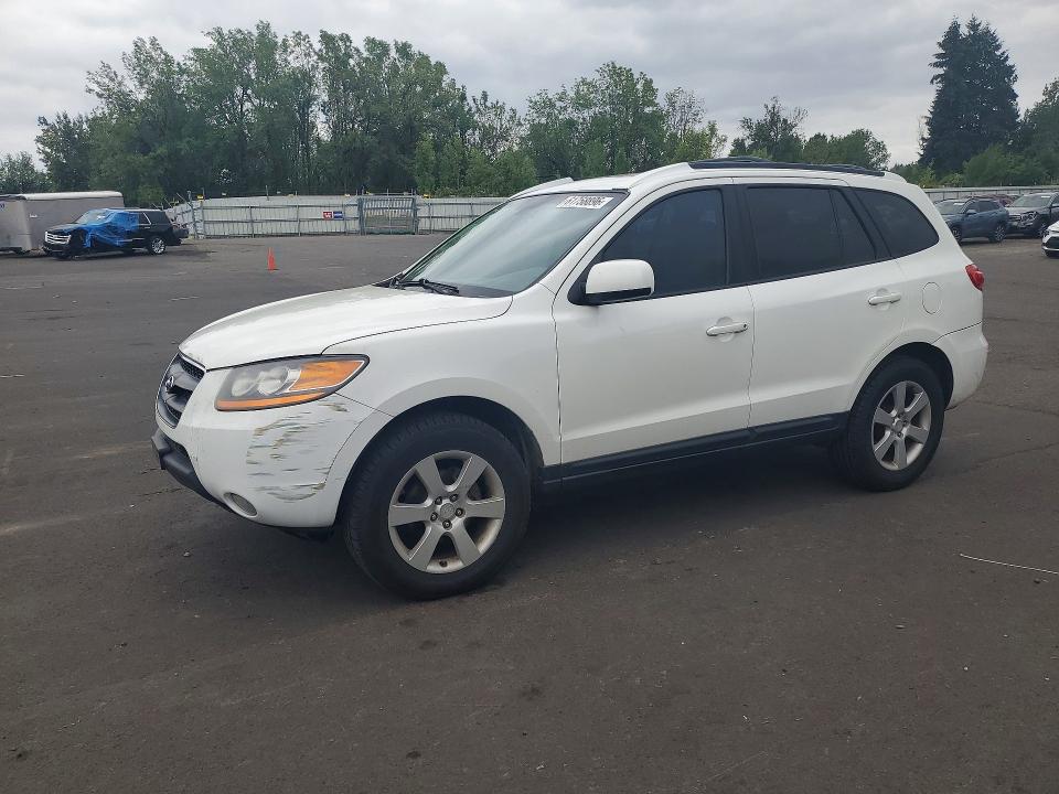Продажа на аукционе авто 2009 Hyundai Santa Fe, vin: 5NMSH13E29H246365, номер лота: 61758896