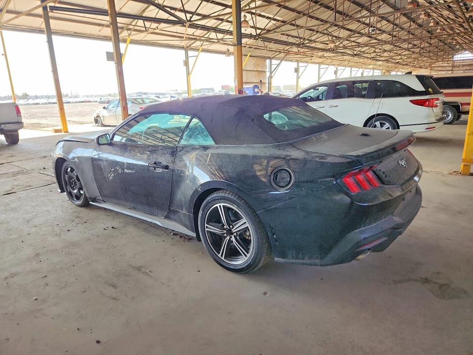 Продаж на аукціоні авто 2024 Ford Mustang, vin: 1FAGP8UH6R5120075, номер лоту: 60829696