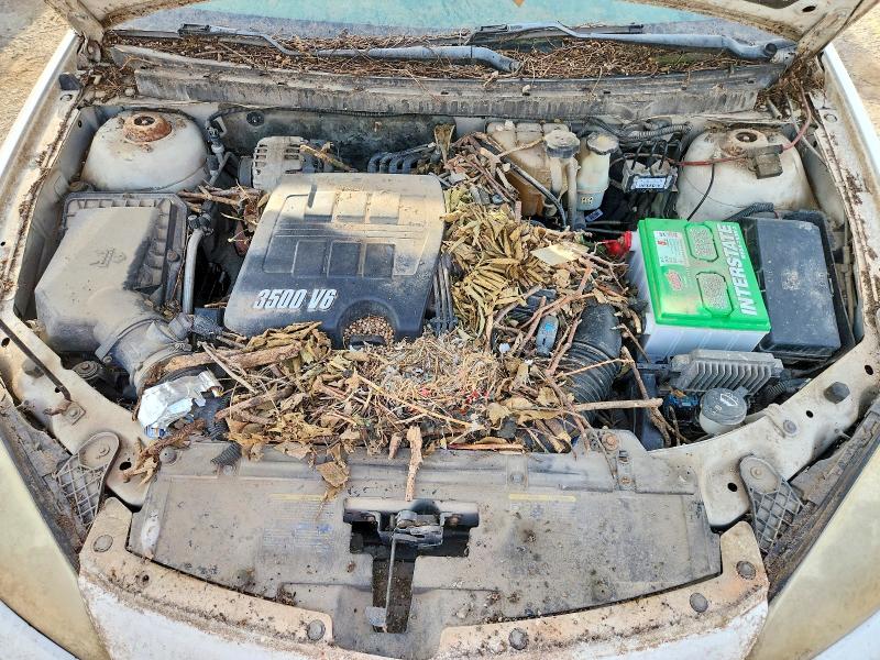 2006 Pontiac G6 მანქანა იყიდება აუქციონზე, vin: 1G2ZG558964261969, აუქციონის ნომერი: 59537226