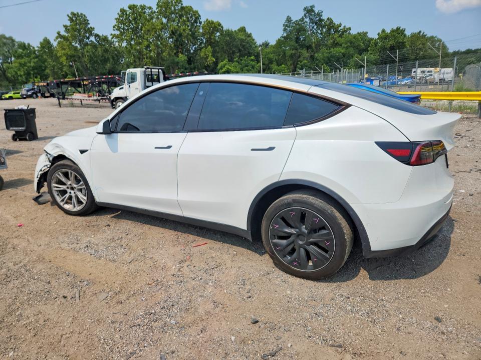 61936016 :رقم المزاد ، 5YJYGDEE9MF145202 vin ، 2021 Tesla Model Y مزاد بيع