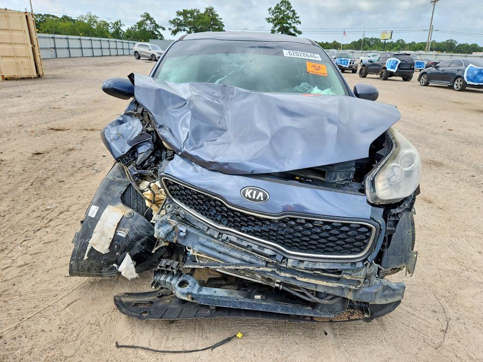 Продаж на аукціоні авто 2019 Kia Sportage, vin: KNDPM3AC6K7491164, номер лоту: 62028646