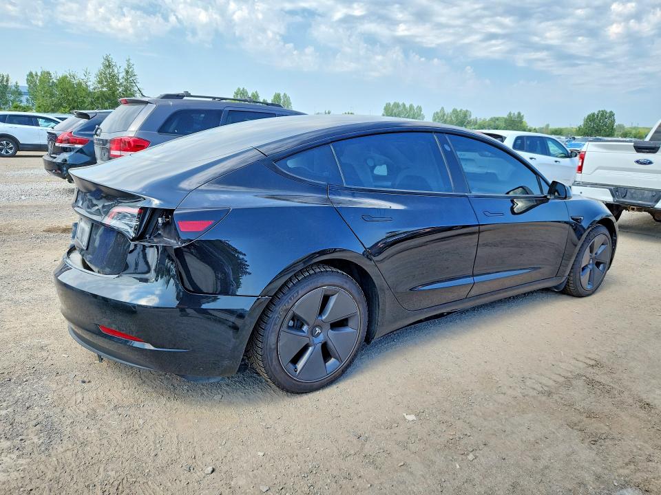 60108036 :رقم المزاد ، 5YJ3E1EA7PF559143 vin ، 2023 Tesla Model 3 مزاد بيع