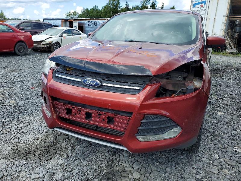 2014 Ford Escape მანქანა იყიდება აუქციონზე, vin: 1FMCU9G9XEUE43116, აუქციონის ნომერი: 59951586