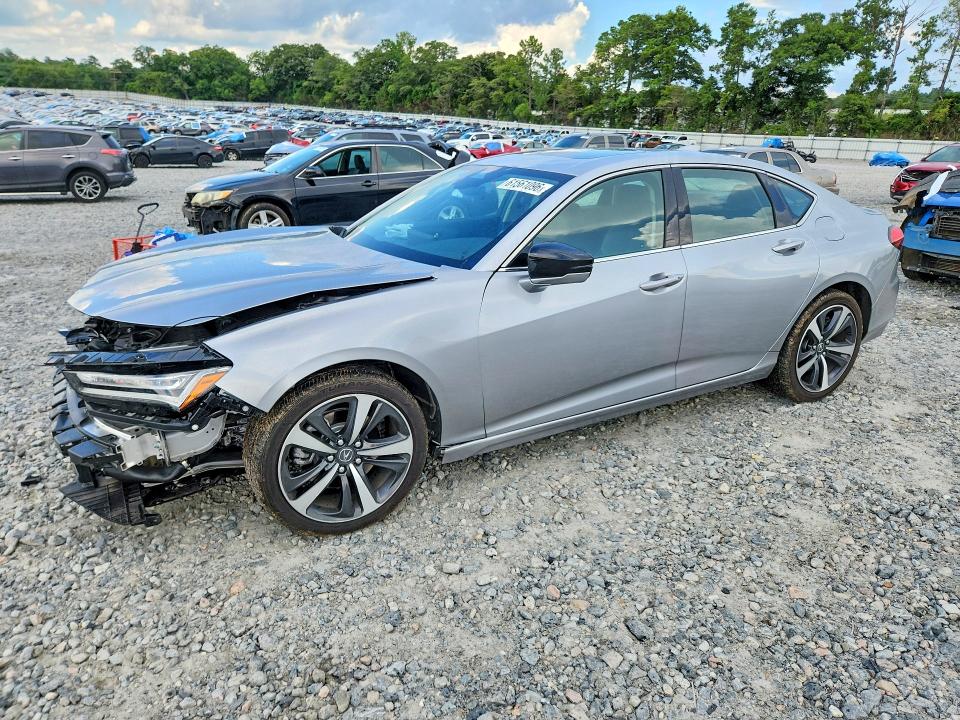 Продаж на аукціоні авто 2025 Acura Tlx, vin: 19UUB5F41SA001031, номер лоту: 61561096