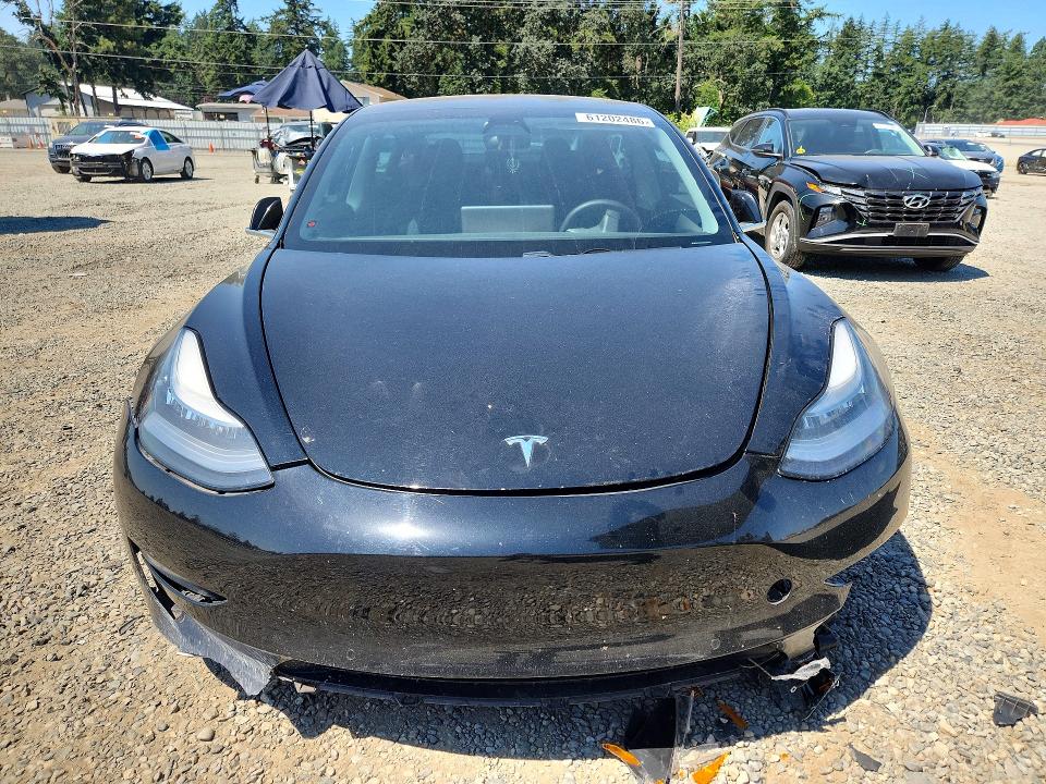 61202486 :رقم المزاد ، 5YJ3E1EA8KF446570 vin ، 2019 Tesla Model 3 مزاد بيع
