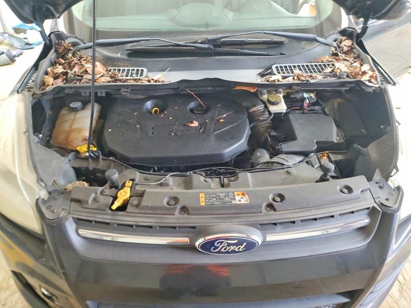 Продаж на аукціоні авто 2013 Ford Escape, vin: 1FMCU0G92DUD72133, номер лоту: 62909106