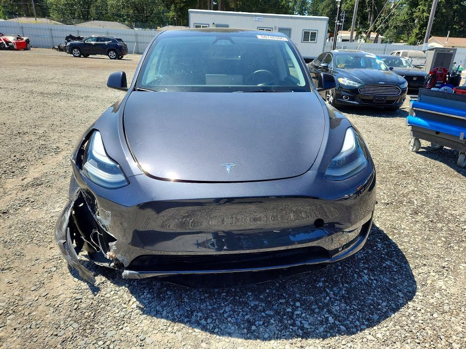 Aukcja sprzedaży 2024 Tesla Model Y, vin: 7SAYGDEE5RF053823, numer aukcji: 60746366