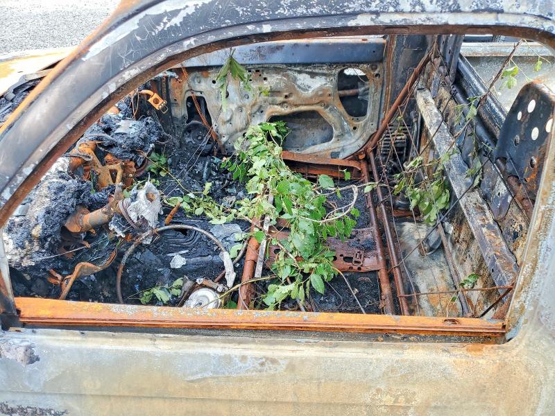 Aukcja sprzedaży 1997 Toyota Tacoma, vin: 4TANL42N6VZ315218, numer aukcji: 60595546