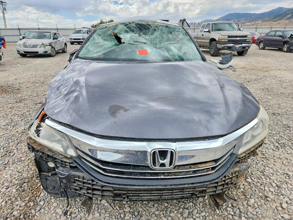 59172916 :رقم المزاد ، 1HGCR2F86GA243703 vin ، 2016 Honda Accord مزاد بيع