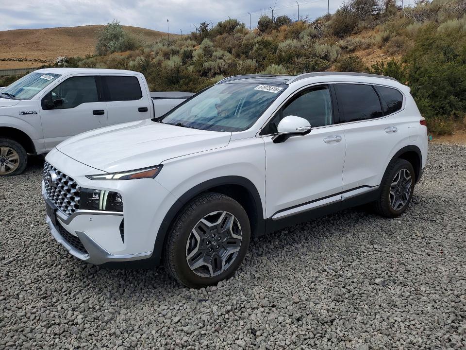 Auction sale of the 2021 Hyundai Santa Fe, vin: KM8S5DA19MU008519, lot number: 61975516