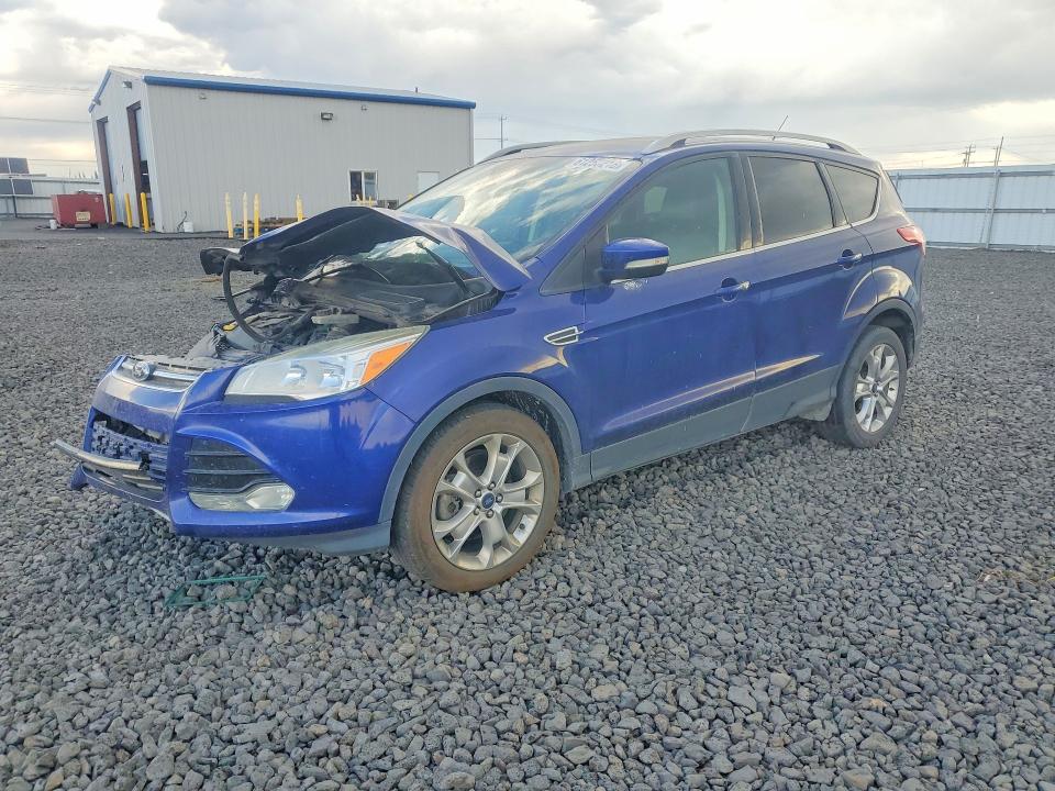 Auction sale of the 2014 Ford Escape, vin: 1FMCU9J93EUD60717, lot number: 61250216