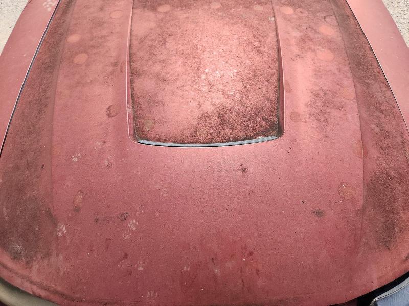 58844186 :رقم المزاد ، 1FAFP40664F204165 vin ، 2004 Ford Mustang مزاد بيع