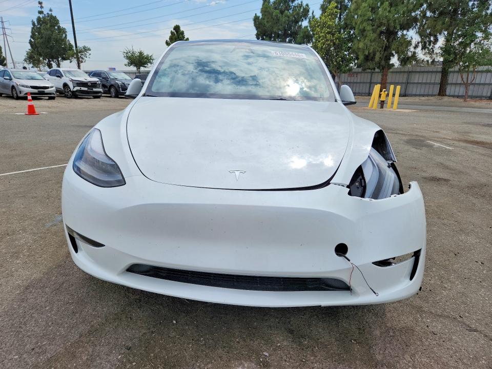 Продаж на аукціоні авто 2024 Tesla Model Y, vin: 7SAYGDEEXRF167266, номер лоту: 61055446