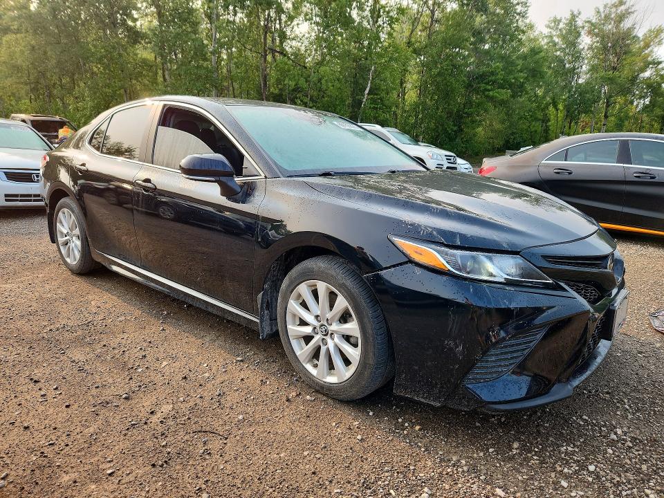 60155876 :رقم المزاد ، 4T1B11HK6KU227556 vin ، 2019 Toyota Camry مزاد بيع