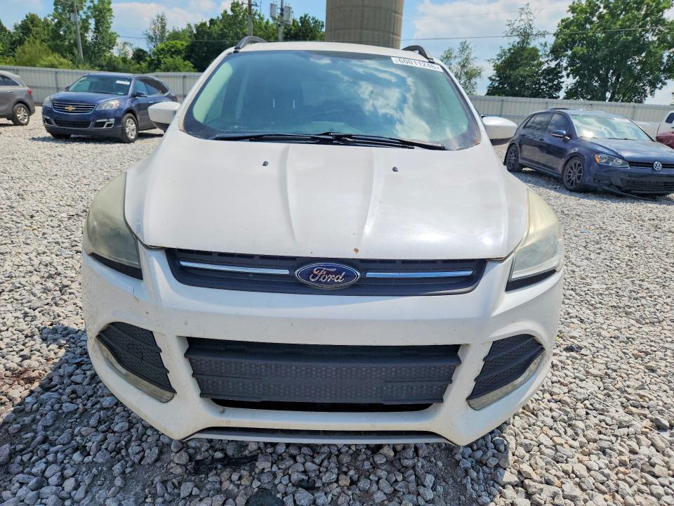 2014 Ford Escape მანქანა იყიდება აუქციონზე, vin: 1FMCU9G95EUB82591, აუქციონის ნომერი: 60011246