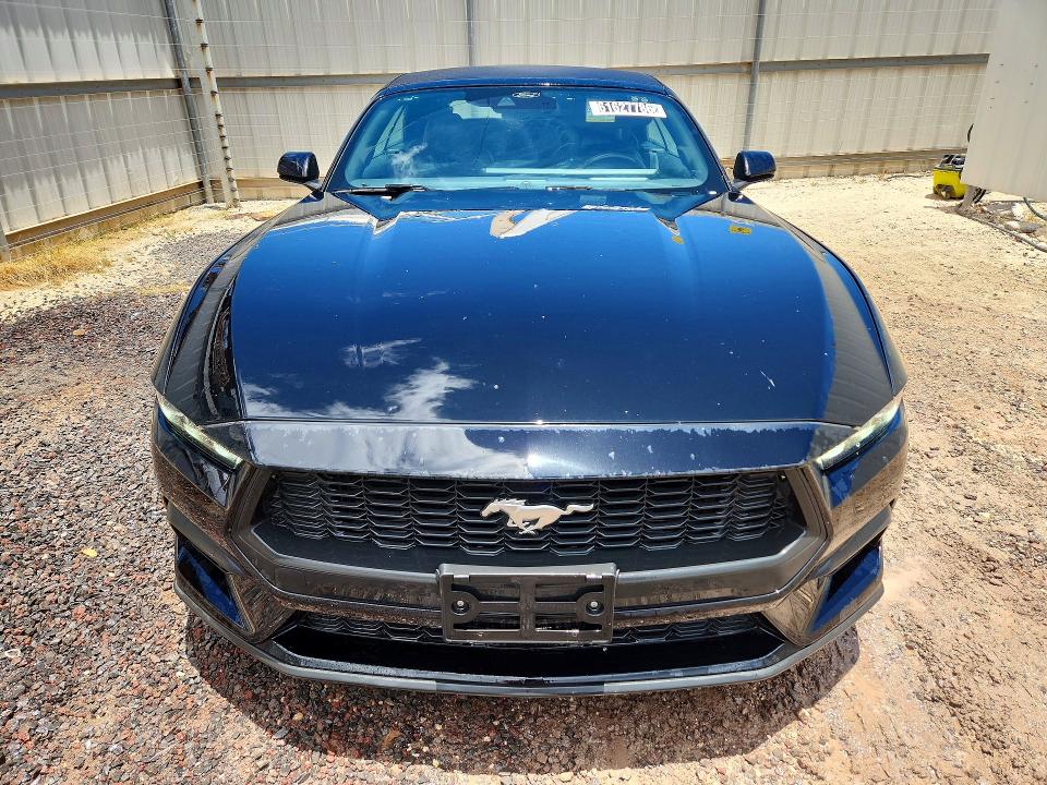 Продаж на аукціоні авто 2024 Ford Mustang, vin: 1FAGP8UH3R5126500, номер лоту: 61627786